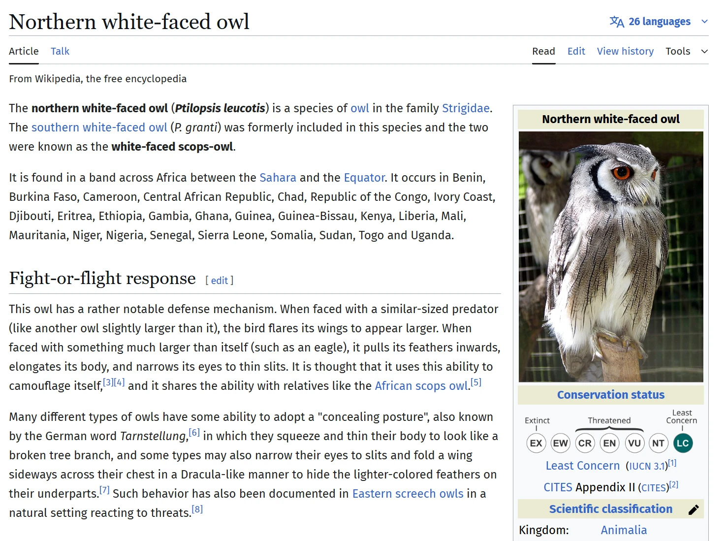 来自维百，其英文又名为“北白面猫头鹰”