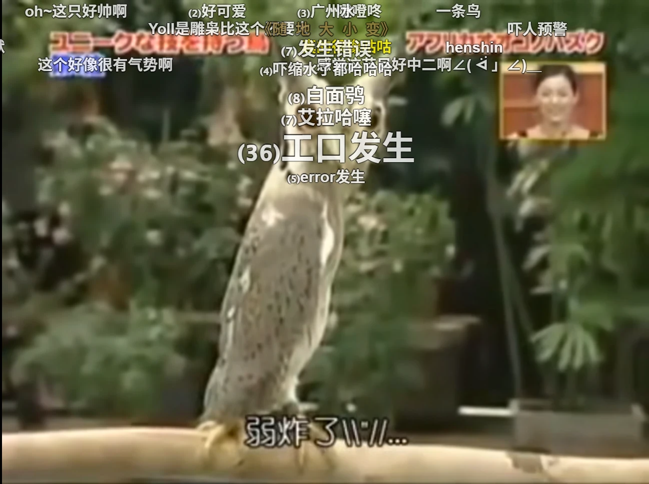 <a href="https://www.bilibili.com/video/BV1Ex411571p?t=53.6" target="_blank">BV1Ex411571p at 53.6s</a>，使用pakku聚合显示弹幕